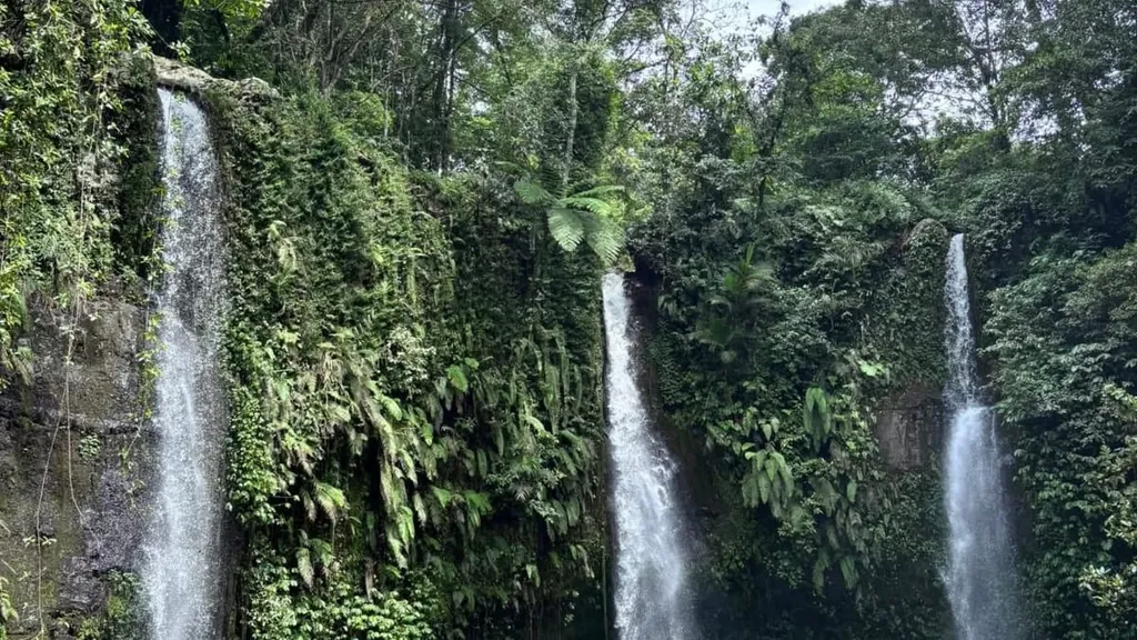 waterfall image