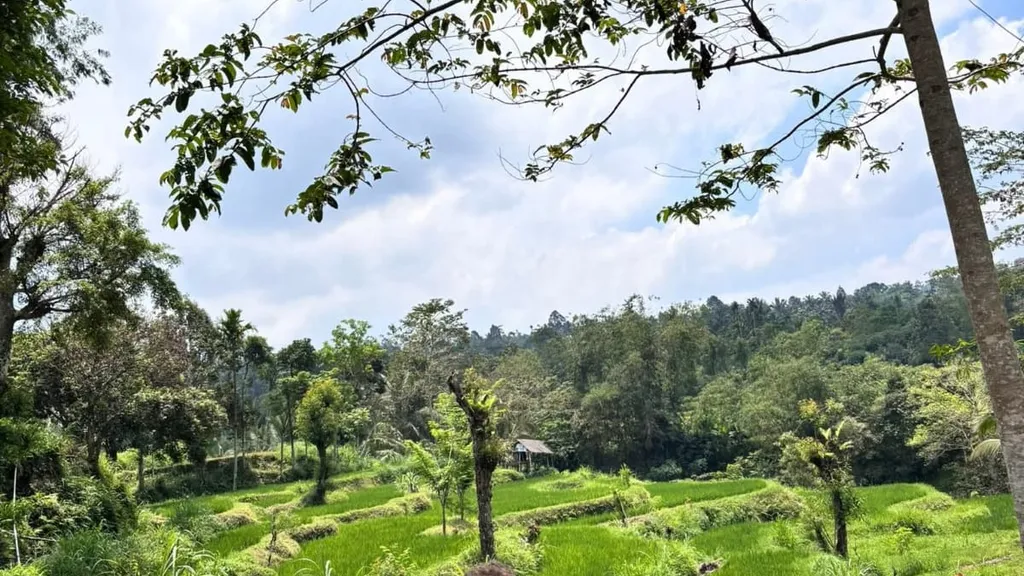 tetebatu image