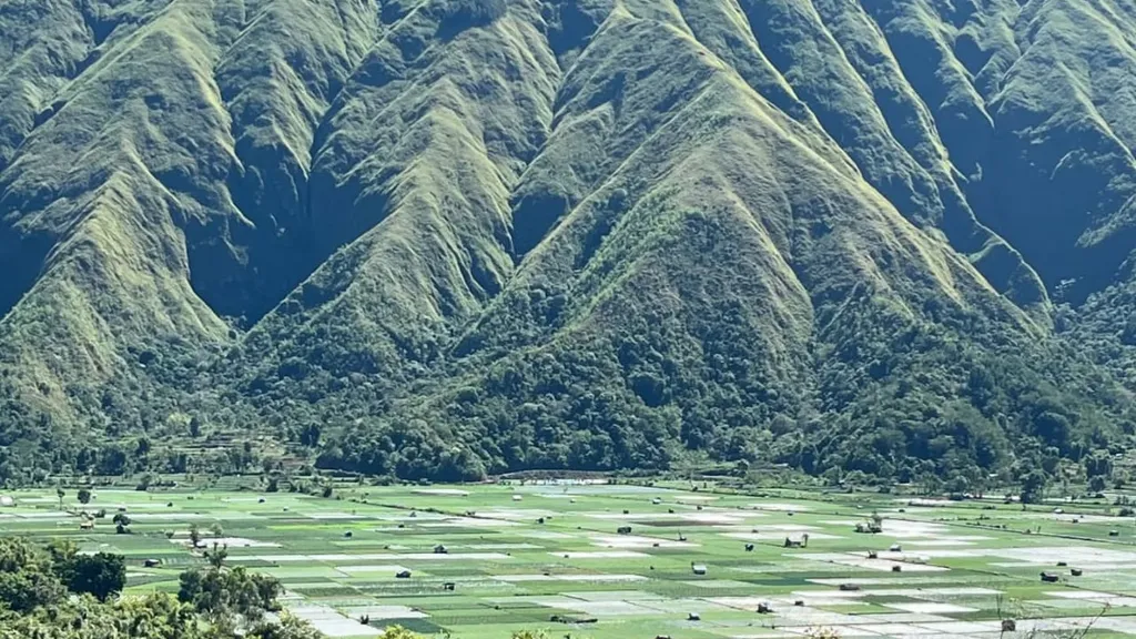 sembalun image